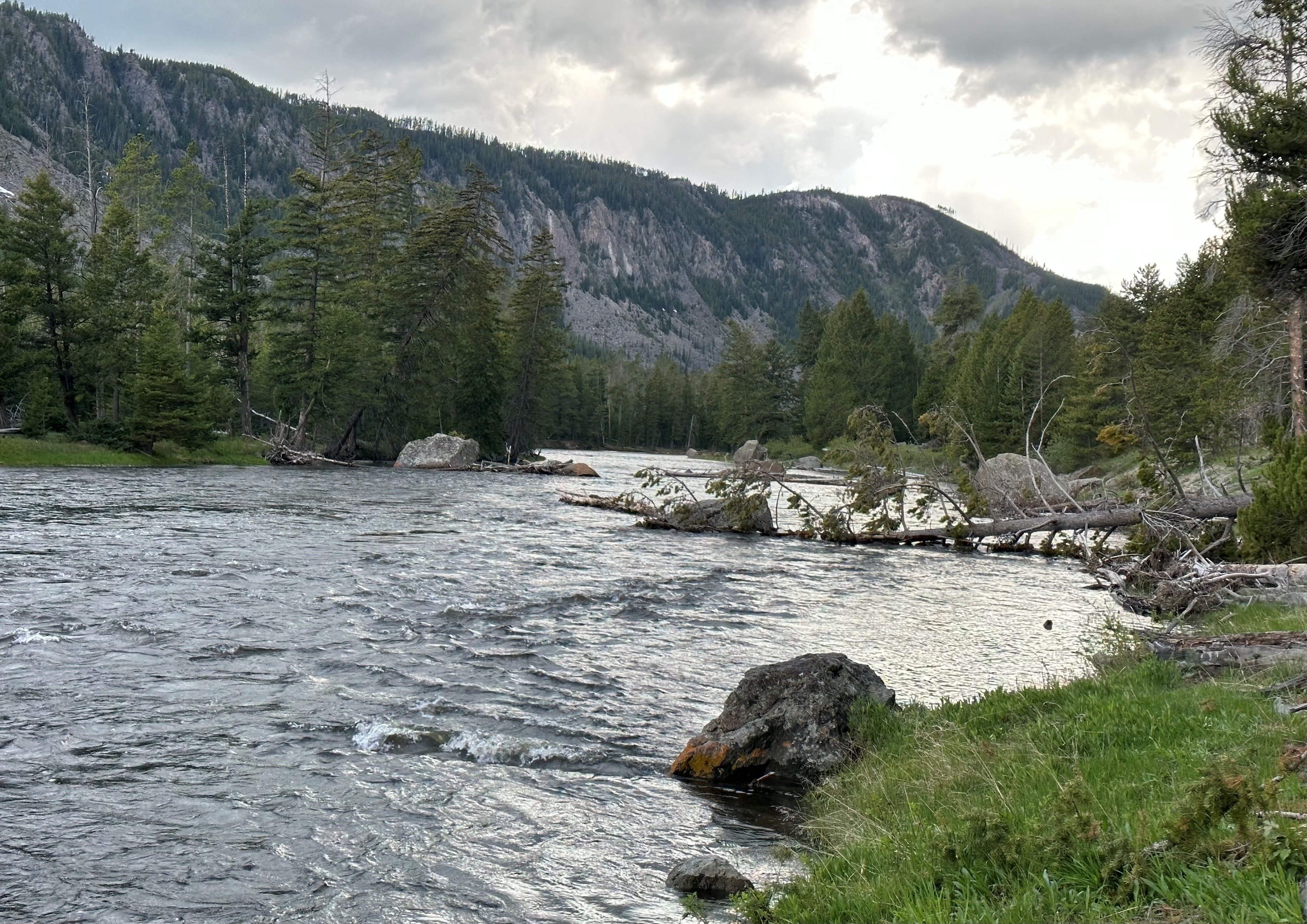 The sunny landscape of Yellowstone National Park.